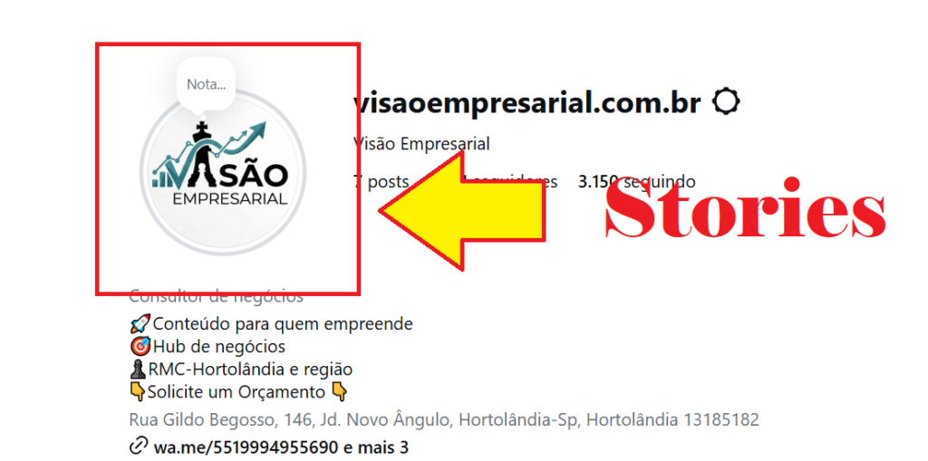 https://www.instagram.com/visaoempresarial.com.br/
